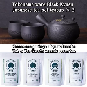 Tokoname ware Black Kyusu Japanese tea pot & your favorite organic green tea set