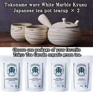 Tokoname ware White Marble Kyusu Japanese tea pot & your favorite organic green tea set